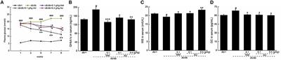 The Antidiabetic and Antinephritic Activities of Auricularia cornea (An Albino Mutant Strain) via Modulation of Oxidative Stress in the db/db Mice